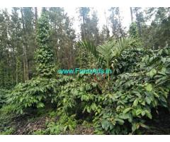 10 acre well maintained Robusta plantation for Sale near Belur