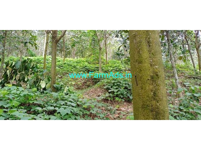 197 Cents Farm land For Sale In Pathanamthitta
