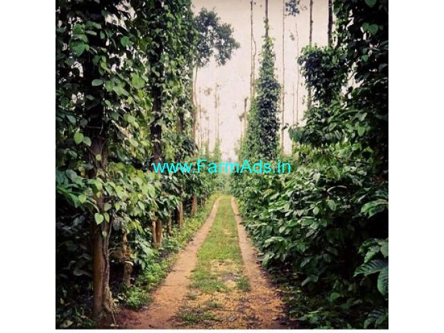 331 acres coffee estate for sale in Chikkamagalur