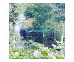 9.5 acre average maintained coffee estate for sale in Chikkamagalur