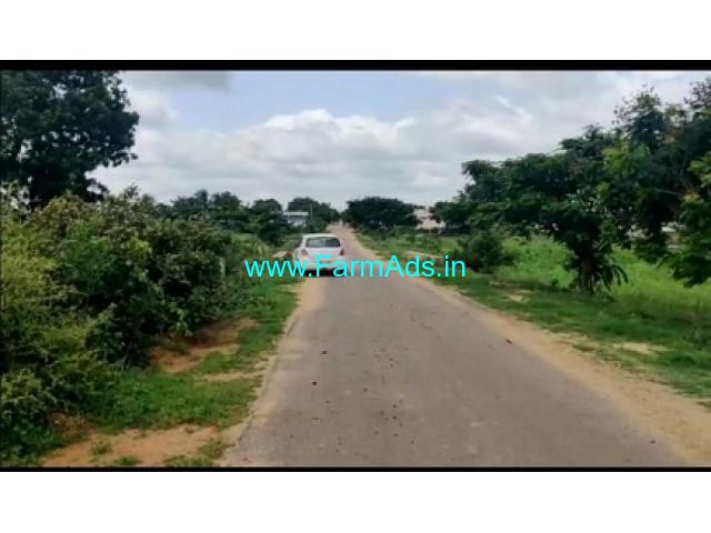 20 Guntas Agriculture Land For Sale In Chinthakutapalli