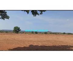 3.31 Acres Farm Land For Sale In Amangal