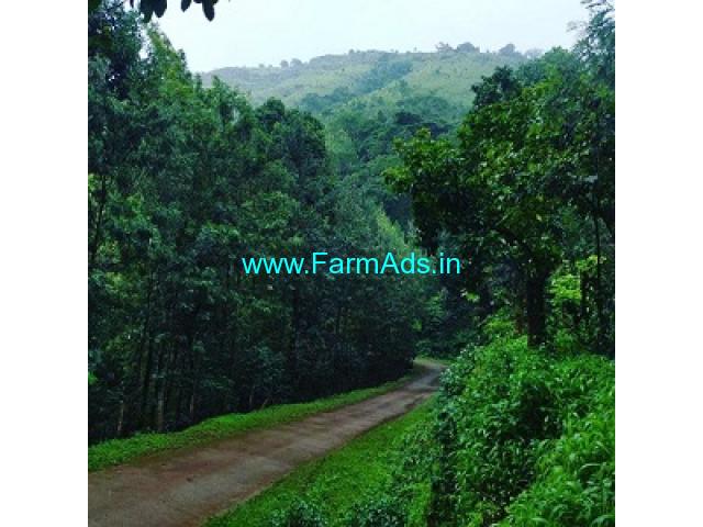 5 acre coffee estate for sale in Chikkamagalur