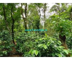 8 Acres Agriculture Land For Sale In Mudigere