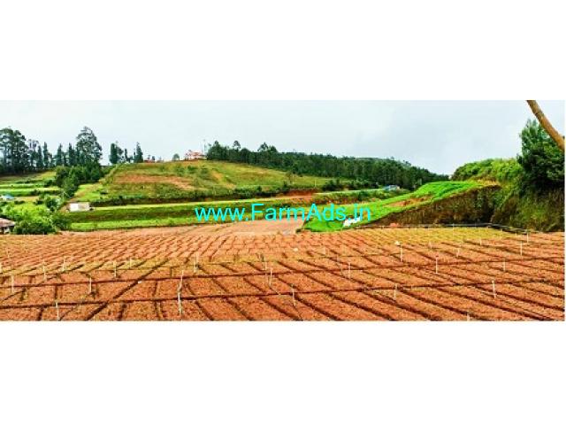 6.5 Acres Farm Land For Sale In Kookal
