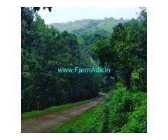 5 Acres Agriculture Land For Sale In Chikmagalur