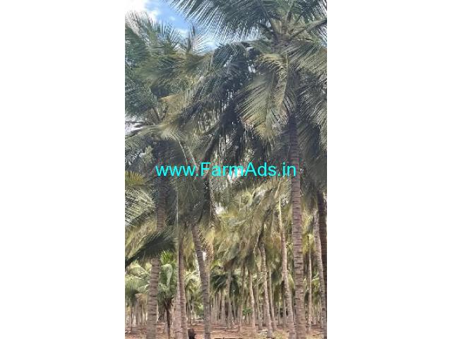 5 Acres Farm Land For Sale In Pethapapatti