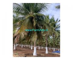 3.5 Acres Farm Land For Sale In Udumalai