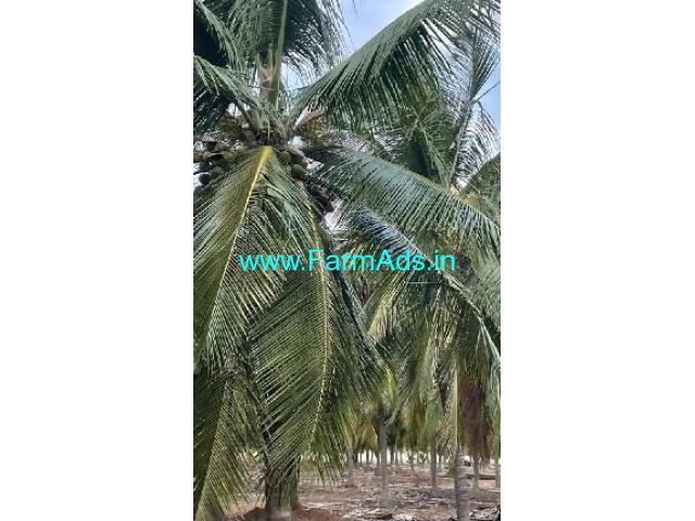 3 Acres Farm Land For Sale In Kudimangalam