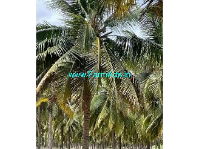 3 Acres Agriculture Land For Sale In Kudimangalam
