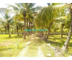 15 Acres Farm Land For Sale In Sira