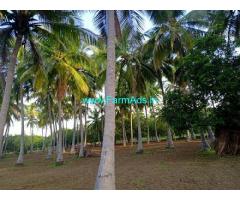 2.5 Acres Agriculture Land For Sale In Vollore