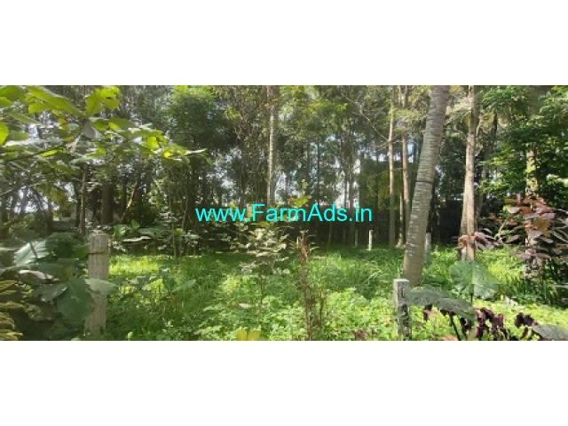 4000 Sq.ft Farm Land For Sale In Kammnhalli