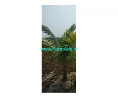22 Cent Farm Land For Sale In Ongur