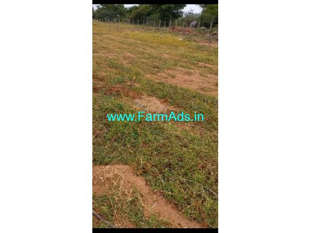 6 Acres Agriculture Land For Sale In Komuravelli