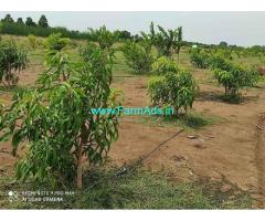 22 Cent Farm Land For Sale In Maelmaruvathur