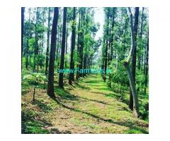 4 Acres Agriculture Land For Sale In Chikkamagaluru