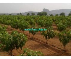 10 Acres Agriculture Land For Sale In Chemmanampathy