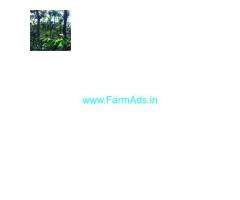 1 Acre Coffee Estate And House For Sale In Chikmagalur