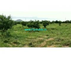 24 Acres Farm Land For Sale In Marriguda