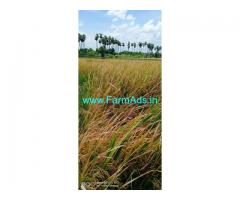 14 Acres Agriculture Land For Sale In Melmaruvathur