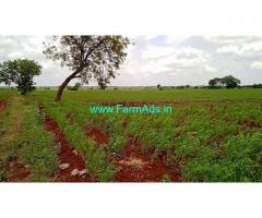 5 Acers Agriculture Land For Sale In Humnabad