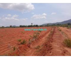 75 Acres Farm Land For Sale In Mannar