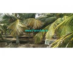 4.90 Acres Farm Land For Sale In Dharapuram