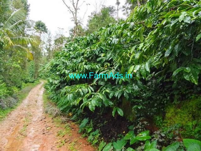 3.5 acre well maintained Robusta plantation sale in Sakaleshpur