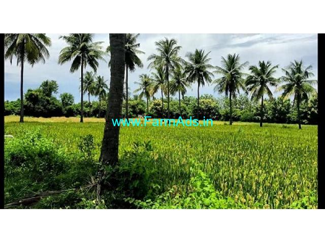 Agriculture punjai 20 acre Patta Land for Sale near Maduranthagam