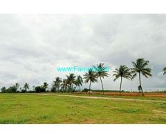 2.5 Guntas Farm Land For Sale In Dodaballapura