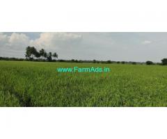 Agriculture land 10 acres for Sale Phoothur village
