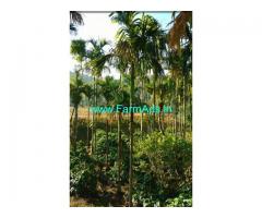 23 Acre well developed coffee estate for sale near Mudigere