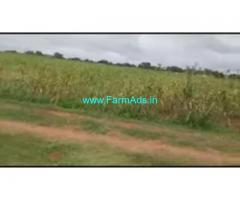 5 Acres 38 Gunta Agriculture Land For Sale In Beguru