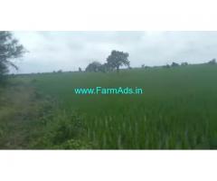 20 Gunta Agriculture Land For Sale In Pulkal