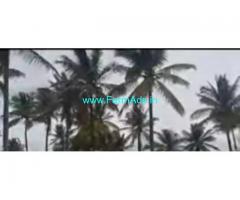 5 Acres Agriculture Land For Sale In Heggadehalli