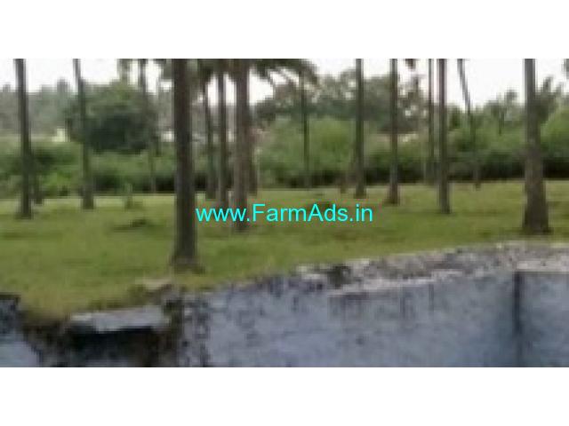 10 Acres Farm Land For Sale In Pollachi