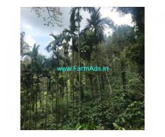 251 Acres Robusta Coffee Estate For Sale In Chikkamagaluru
