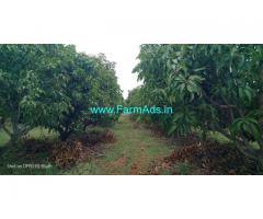Total Mango Farm land 91 Acres for Sale at Madhugiri Taluk