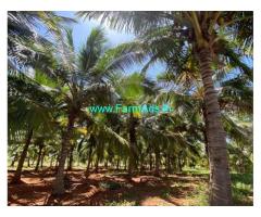 65 Acres Agricultural property for sale Tirunelveli national highway