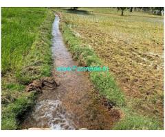 65 Acres Agricultural property for sale Tirunelveli national highway