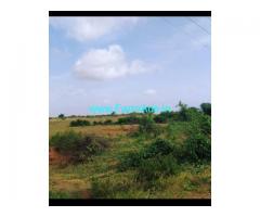 10 acre land Agriculture Land for Sale at Kodihalli