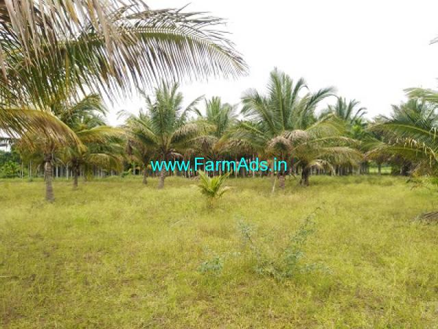 4 Acre Areca And Coconut Farm Available For Sale In Tumkur