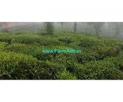 25 cents  Land for sale in Ooty