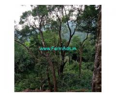 16 acre Farm land for sale in Madikeri