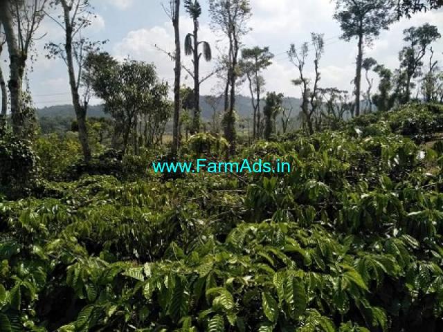 10 acres Robusta Coffee plantation for Sale near Mudigere