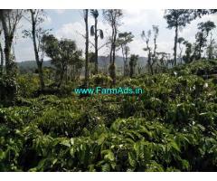 10 acres Robusta Coffee plantation for Sale near Mudigere