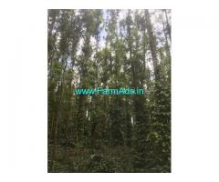 8 acre well maintained Arabica coffee estate sale in Chikmagalur