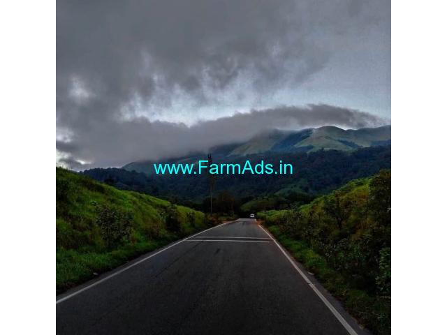 50 acre Farm land for sale in Chikkamagalur