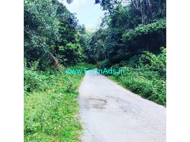 3 acre land for sale in Chikkamagalur